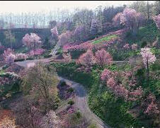 gulistan i.e. flowery path